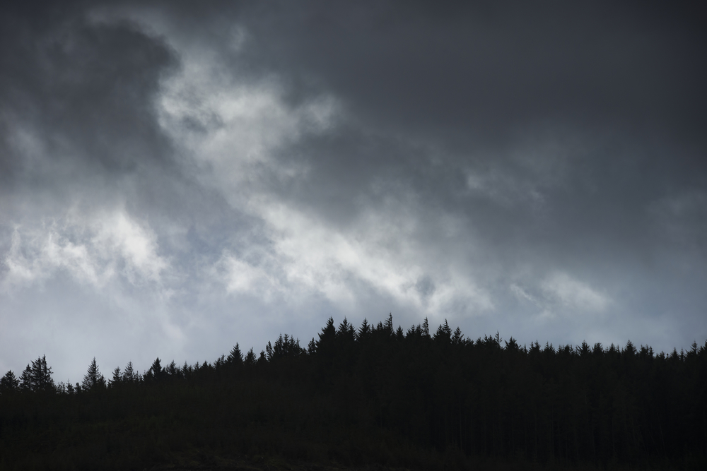 Pine tree ridge landscape image against stormy Winter sky in Snowdonia
