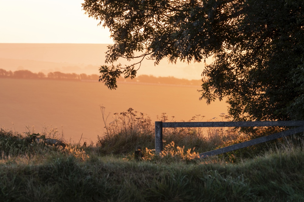 Stunning late Summer sunrise on South Downs National Park in English countryisde with vibrant sunlight on hills