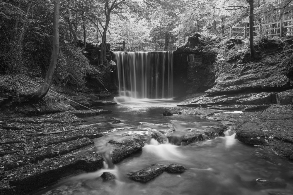 Black and white Stunning beautiful Autumn landscape image of Nant Mill waterfall in Wales with glowing sunlight through the woodland