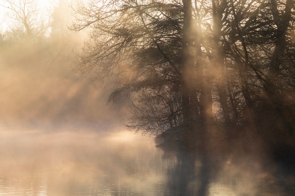 Stunning landscape image of sunrise mist on urban lake with sun beams streaming through tress lighting up water surface