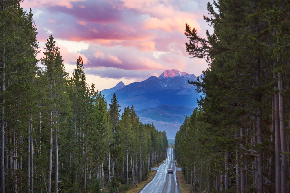 Highway in the forest, USA, Wyoming.