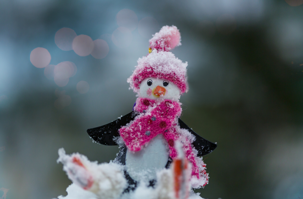 Snowman in winter background