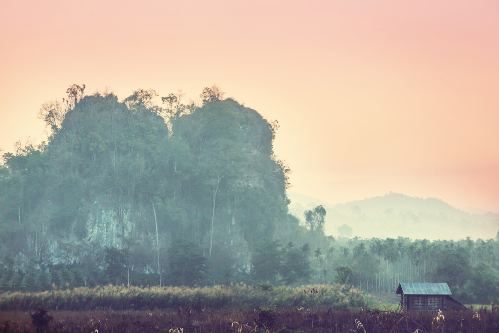 Rural landscapes in Northern Thailand
