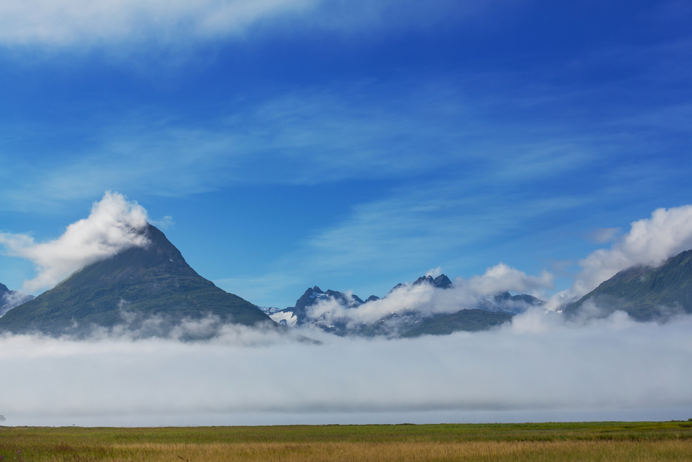 Unusual summer Landscapes of Alaska, United States.