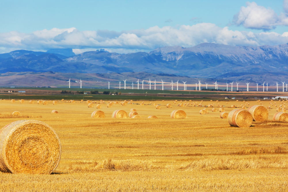 Hays in autumn field at sunrise