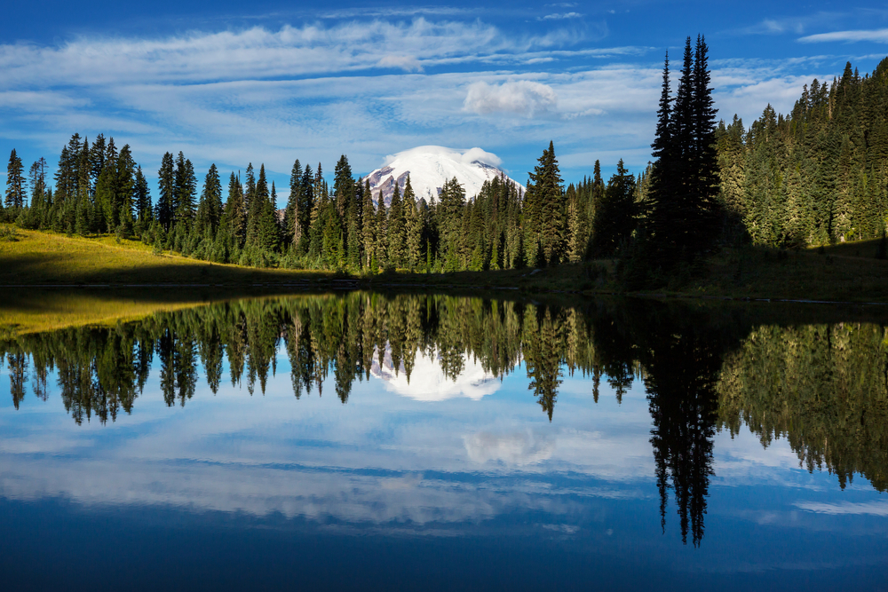 Mount Rainier national park, Washington