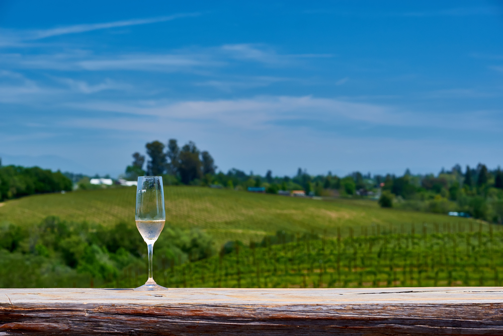Wine tasting in California. Glass of white wine and vineyards.