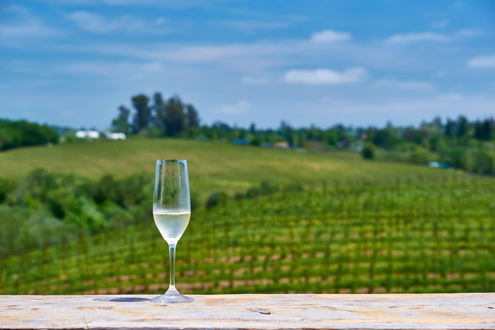 Wine tasting in California. Glass of white wine and vineyards.
