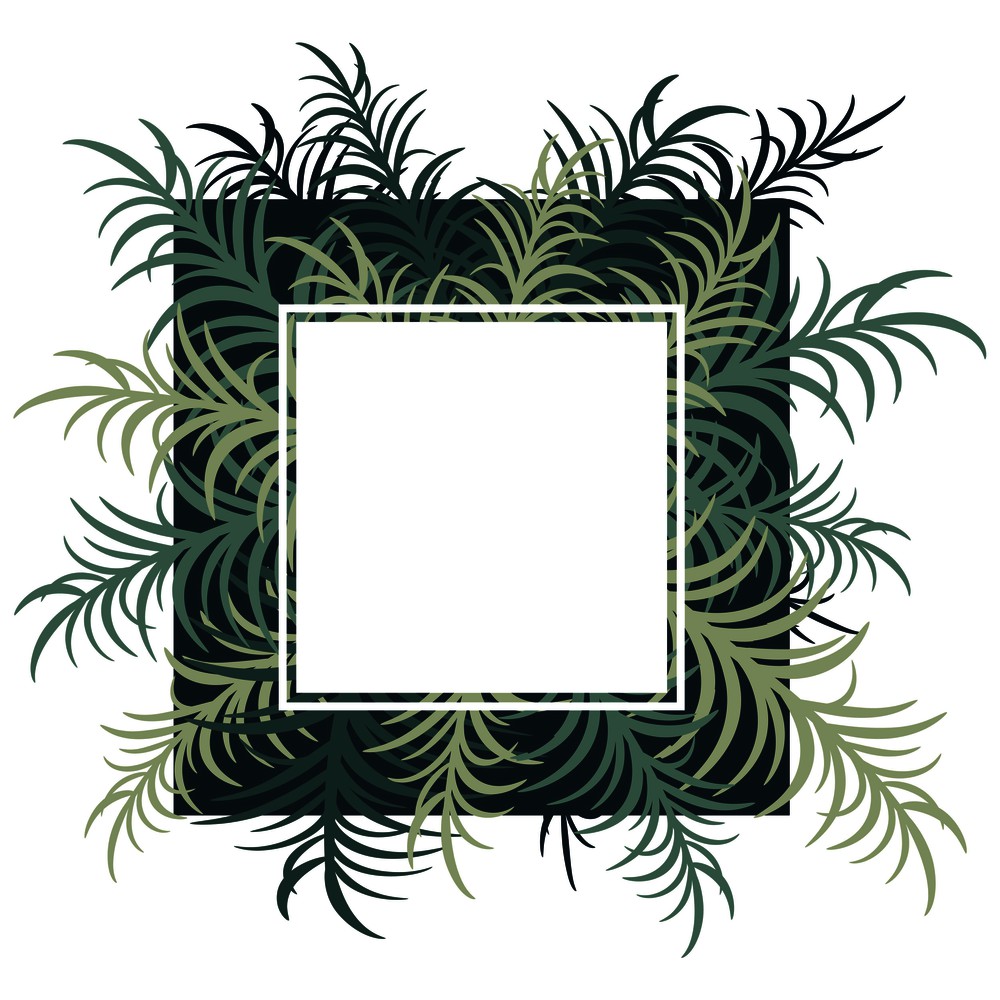 Botanical card with palm leaves. Vector image. Eps 10