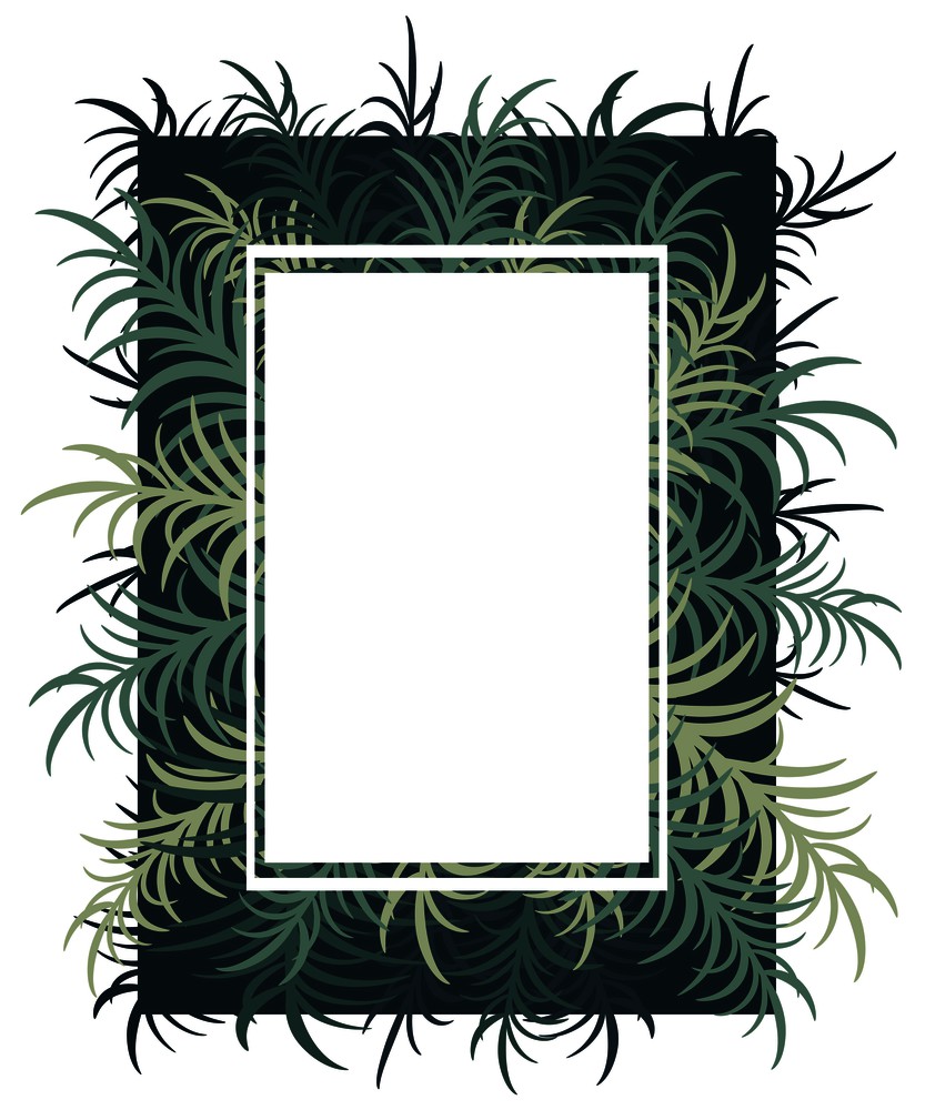 Botanical card with palm leaves. Vector image. Eps 10