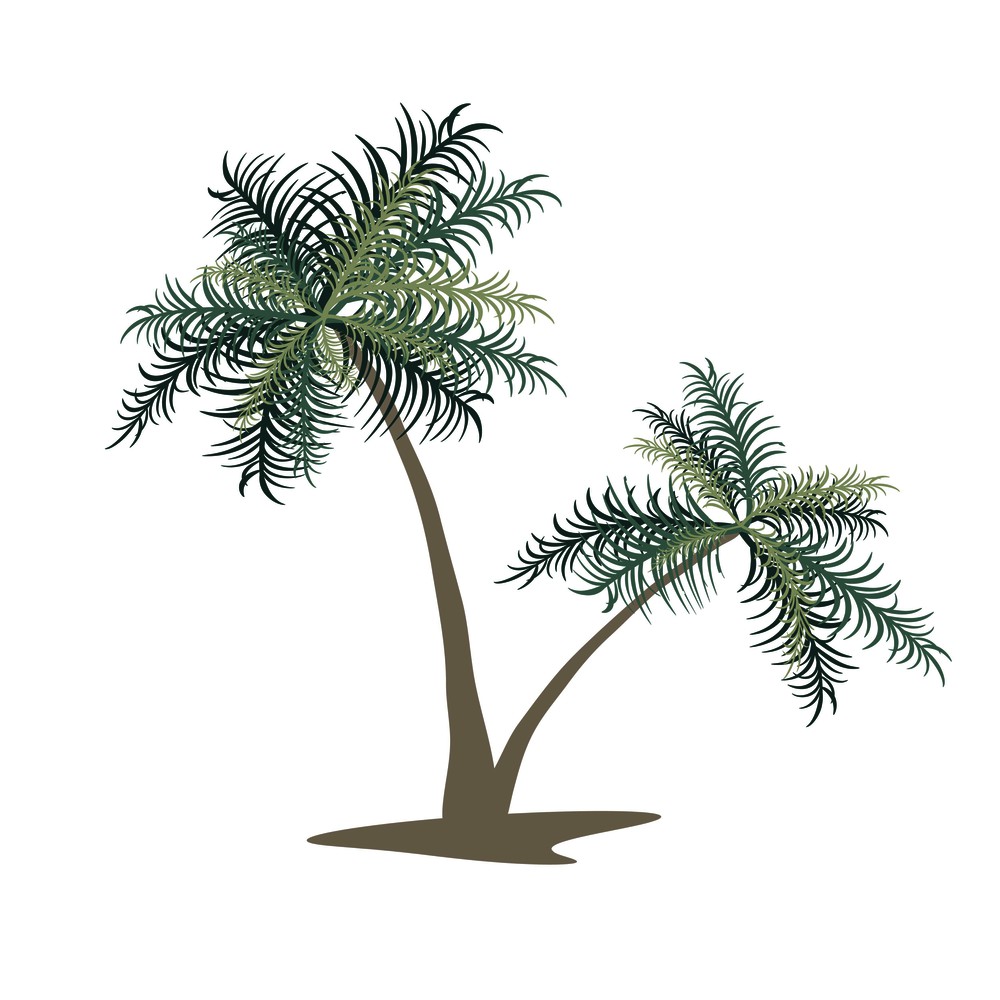 Two palm trees. Isolated vector image. Eps 10