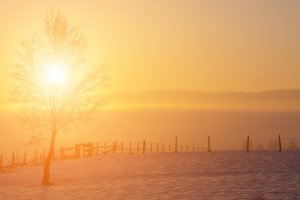Beautiful winter landscape with fog during sunset over snow covered field with tree