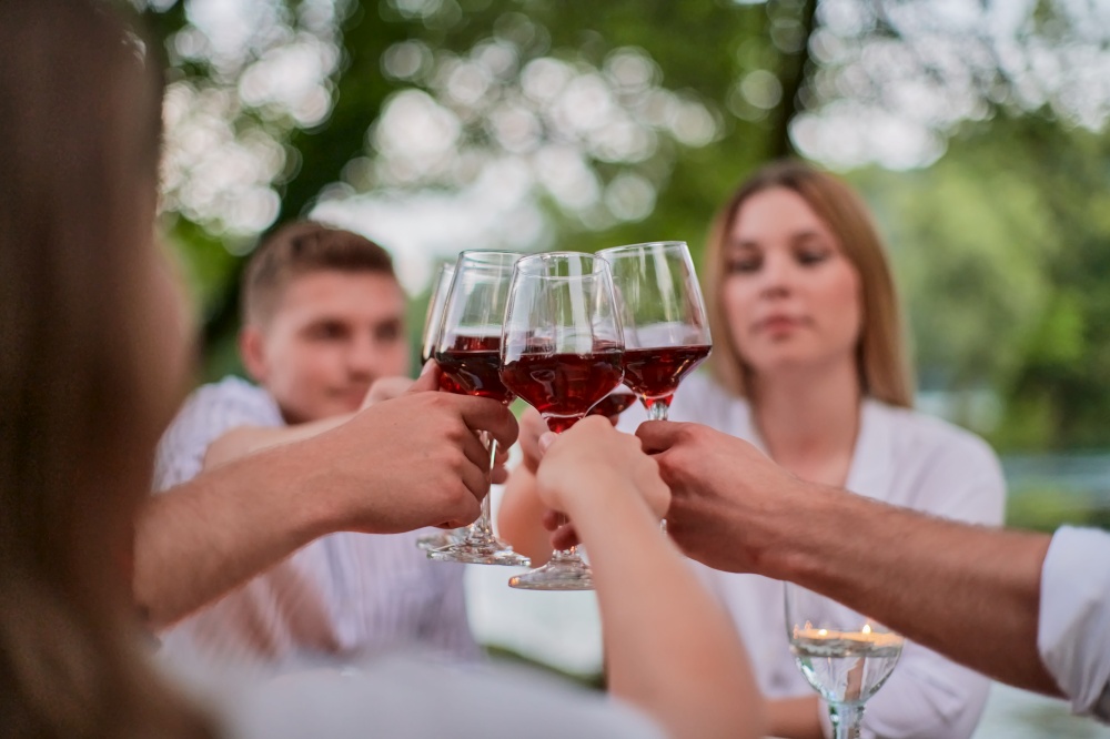 group of happy friends toasting red wine glass while having picnic french dinner party outdoor during summer holiday vacation near the river at beautiful nature