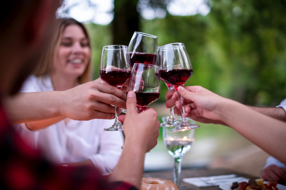 group of happy friends toasting red wine glass while having picnic french dinner party outdoor during summer holiday vacation  near the river at beautiful nature