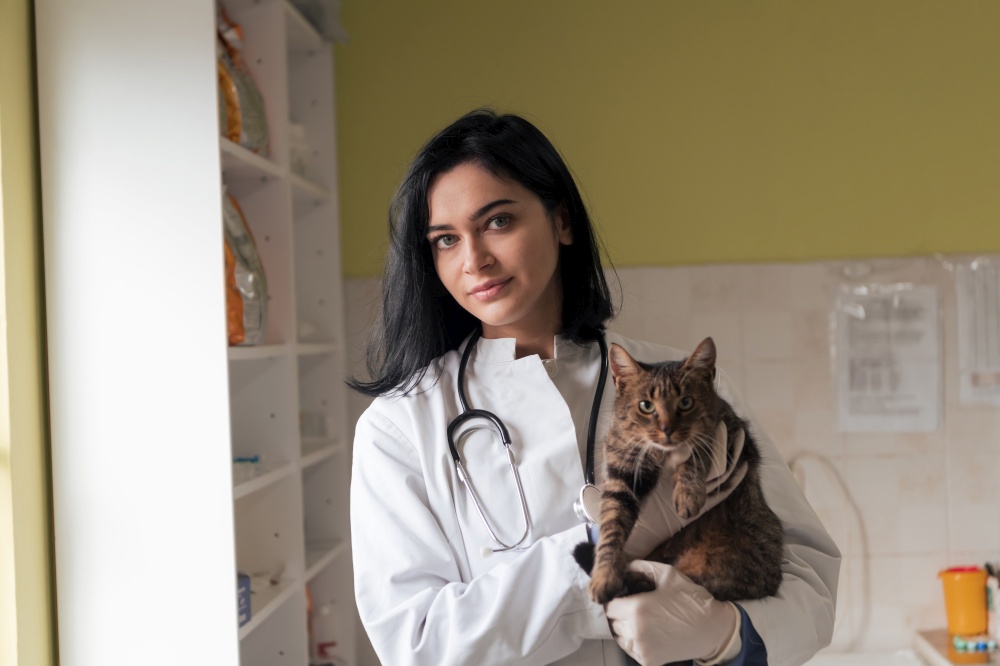 Veterinary clinic. Female doctor portrait at the animal hospital holding cute sick cat ready for veterinary examination and treatment . Veterinary clinic. Female doctor portrait at the animal hospital holding cute sick cat