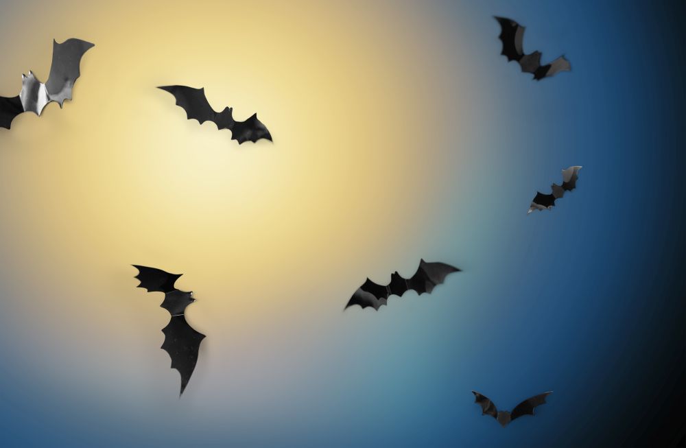 halloween and scary concept - black bats flying in moonlight over night sky background. bats flying over moonlight in night sky background