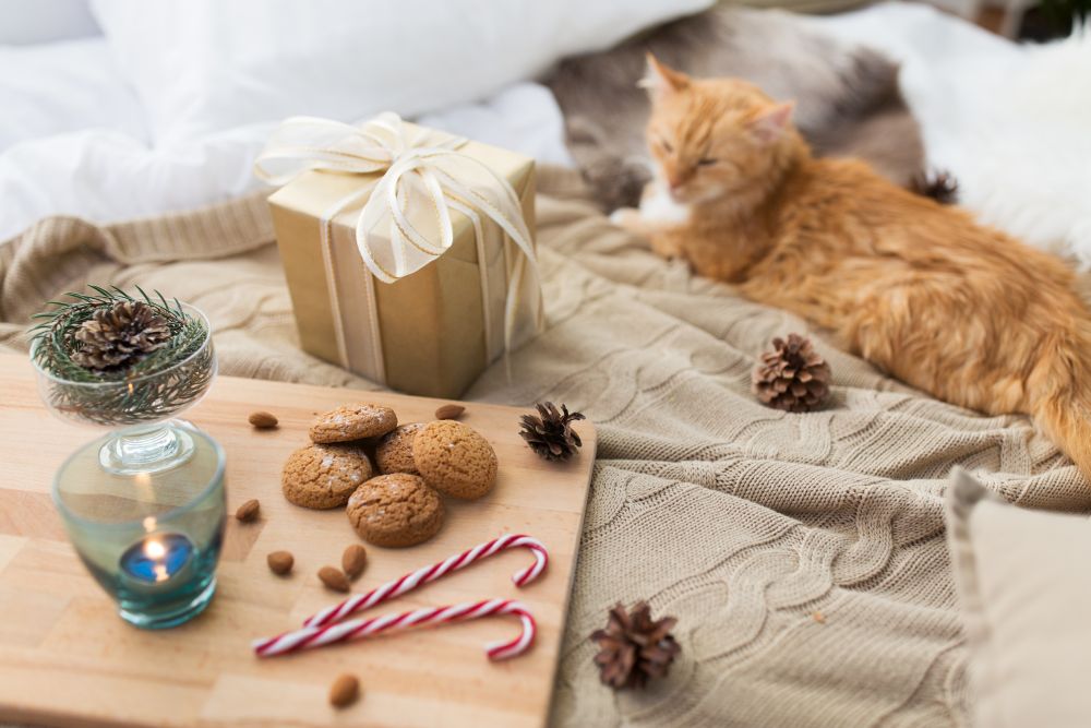 hygge and christmas concept - red tabby cat lying on blanket with gift, oatmeal cookies and candle at home. red cat lying in bed with christmas gift at home