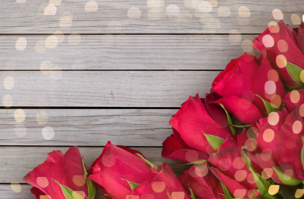 flowers, valentines day and holidays concept - close up of red roses over festive lights. close up of red roses on white background