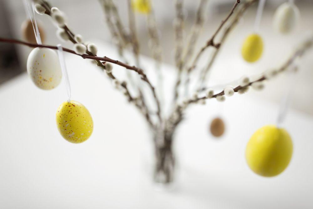 holidays and object concept - close up of pussy willow branches decorated by easter eggs. close up of pussy willow decorated by easter eggs