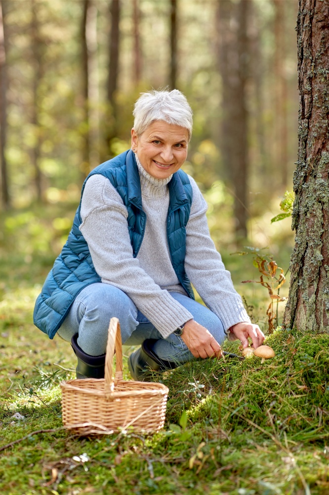 picking season, leisure and people concept - senior woman with basket and mushrooms in autumn forest. senior woman picking mushrooms in autumn forest