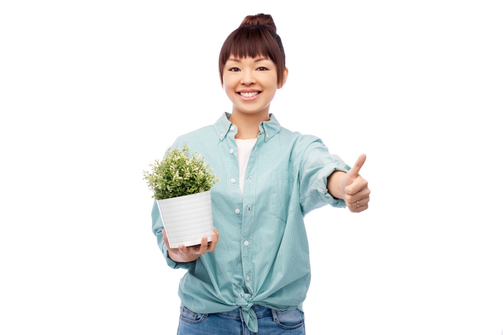 environment, nature and people concept - happy smiling asian woman holding flower in pot showing thumbs up over white background. happy smiling asian woman holding flower in pot