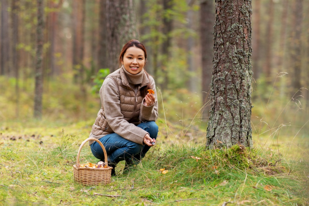 picking season, leisure and people concept - young asian woman with basket and knife cutting chanterelle mushroom in autumn forest. young woman picking mushrooms in autumn forest