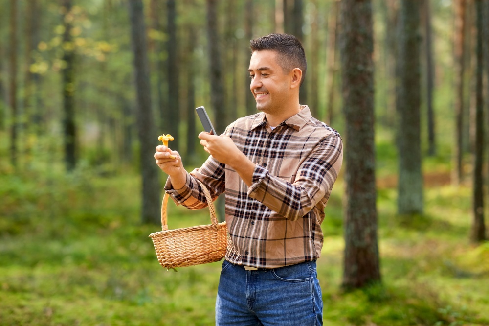 picking season, technology and leisure people concept - middle aged man with wicker basket and smartphone using app to identify mushroom in autumn forest. man using smartphone to identify mushroom