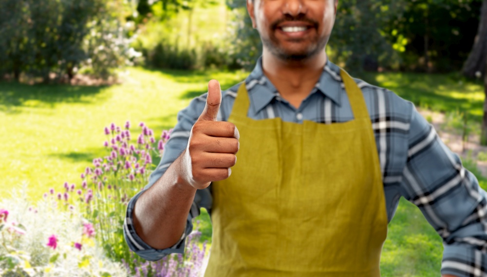 gardening, farming and people concept - happy smiling indian male gardener or farmer in apron showing thumbs up over summer garden background. indian male gardener showing thumbs up at garden