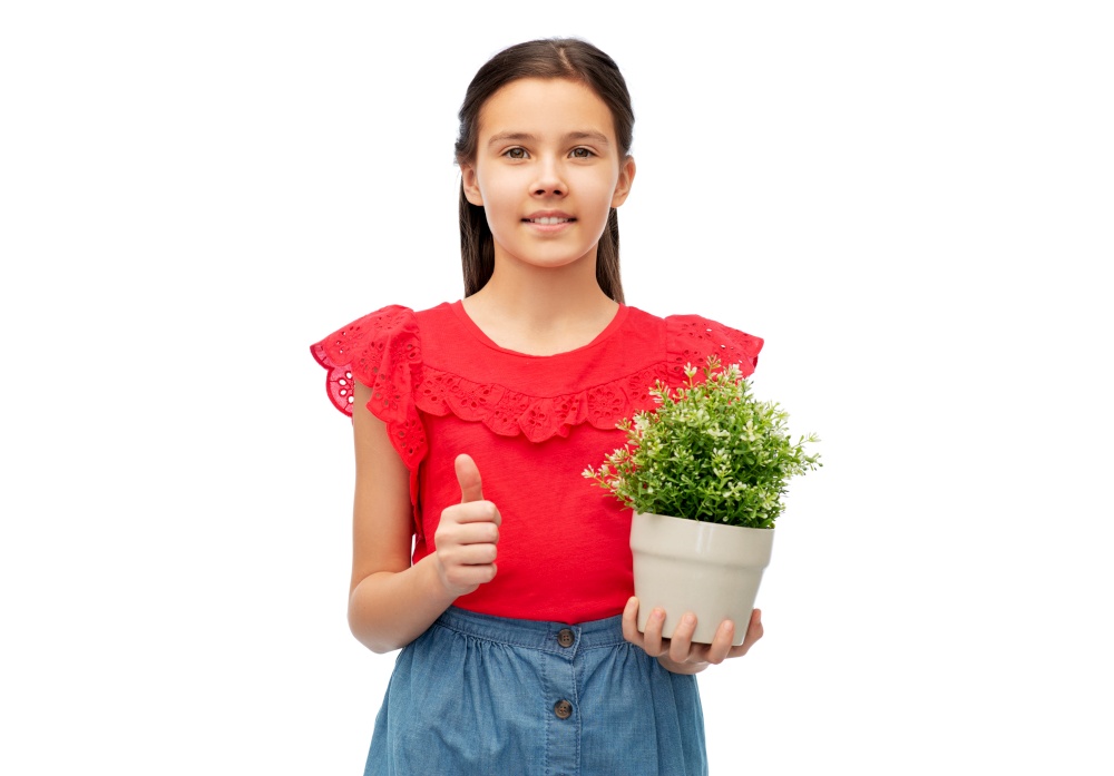 environment, nature and people concept - happy smiling girl holding flower in pot showing thumbs up over white background. happy girl holding flower in pot showing thumbs up