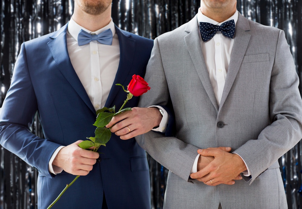 lgbt, homosexuality and same-sex marriage concept - close up of male gay couple with wedding rings and rose flower over foil fringe curtain on background. close up of male gay couple with wedding rings on