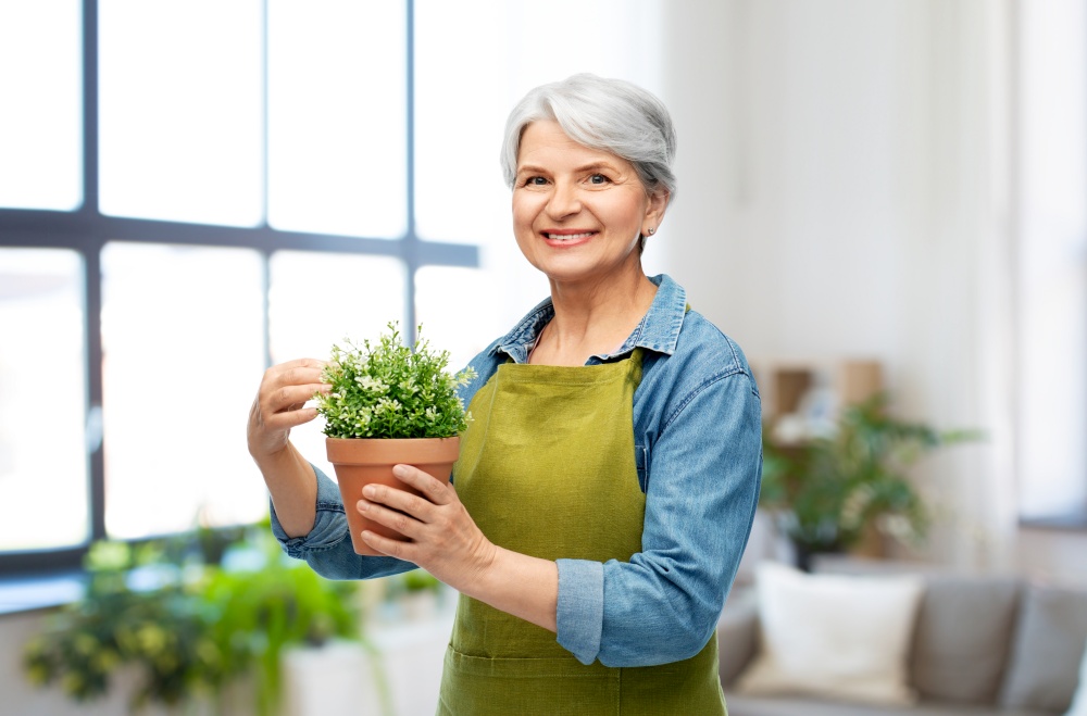 gardening and old people concept - portrait of smiling senior woman in green garden apron with flower in pot over home background. smiling senior woman in garden apron with flower