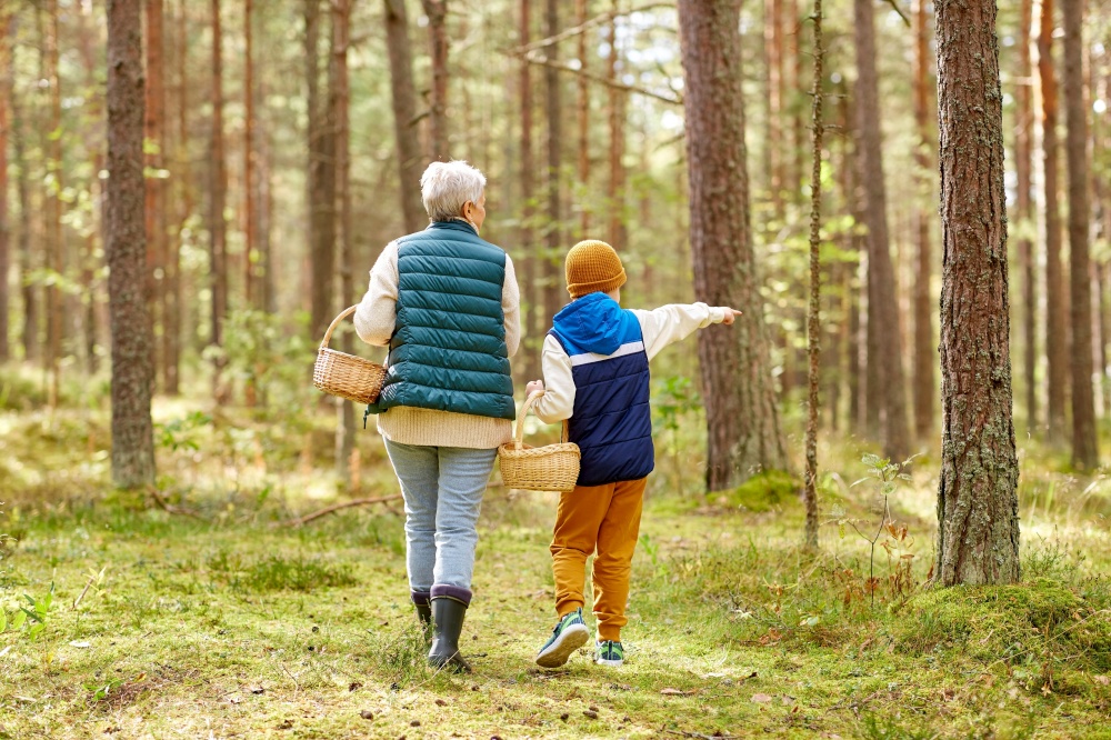mushroom picking season, leisure and people concept - grandmother and grandson with baskets walking in forest. grandmother and grandson with baskets in forest