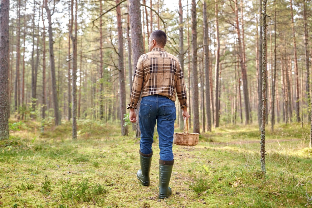 picking season and leisure people concept - middle aged man with wicker basket of mushrooms walking in autumn forest. man with basket picking mushrooms in forest