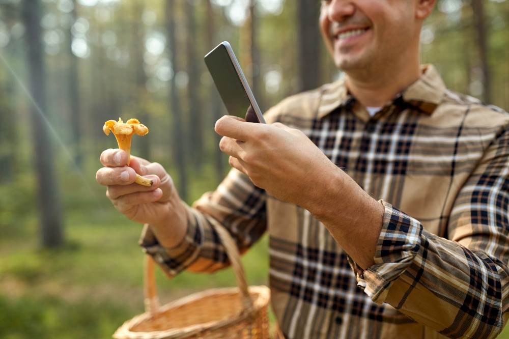 picking season and leisure people concept - close up of man with wicker basket and smartphone using app to identify mushroom in autumn forest. man using smartphone to identify mushroom