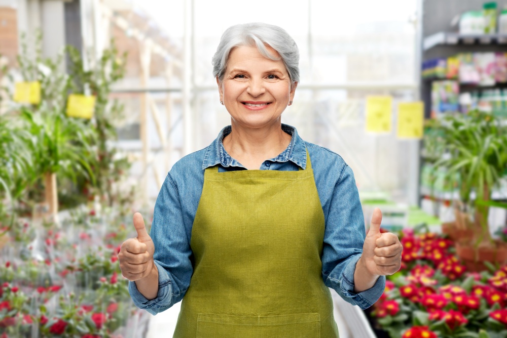 gardening, farming and old people concept - portrait of smiling senior woman in green garden apron showing thumbs up over flower shop background. senior woman showing thumbs up in gardening center