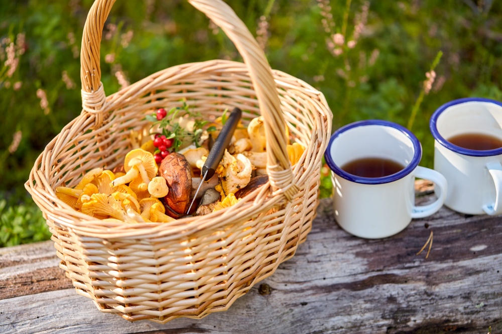 picking season and leisure concept - mushrooms in basket and two tin mugs with tea on log in forest. mushrooms in basket and cups of tea in forest