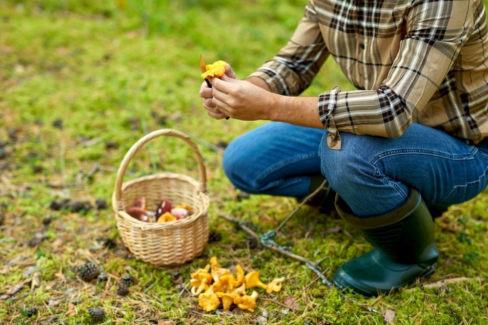 picking season and leisure people concept - close up of middle aged man with wicker basket and mushrooms in autumn forest. man with basket picking mushrooms in forest