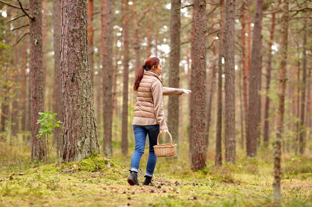 season and leisure people concept - asian young woman with mushrooms in basket walking along autumn forest. asian woman picking mushrooms in autumn forest