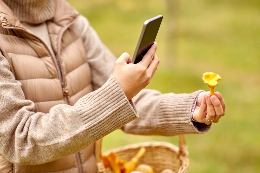 technology, leisure and people concept - close up of young woman with smartphone using app to identify mushroom in autumn forest. woman using smartphone to identify mushroom