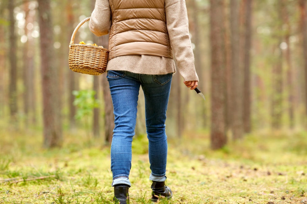season and leisure people concept - young woman with mushrooms in basket walking along autumn forest. young woman picking mushrooms in autumn forest