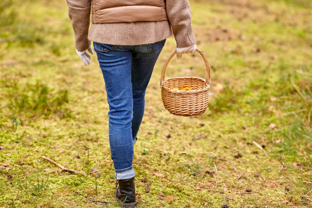 season and leisure people concept - young woman with mushrooms in basket walking along autumn forest. young woman picking mushrooms in autumn forest