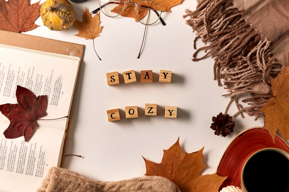 still life, season and objects concept - stay cozy words made of wooden toy blocks with letters or stamps and autumn staff on white background. stay cozy words made of blocks and autumn staff