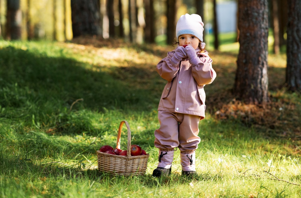 childhood, leisure and picking season concept - little baby girl with basket eating apple in autumn park. little baby girl with basket of apples at park
