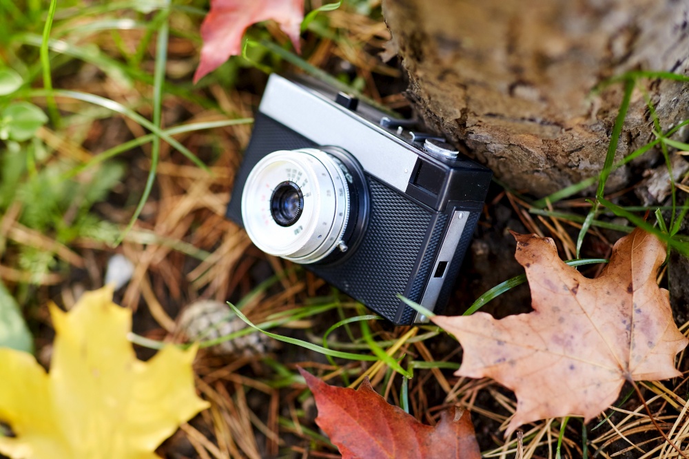 photography and season concept - close up of film camera and autumn maple leaves on ground in forest. film camera and autumn leaves on ground in forest