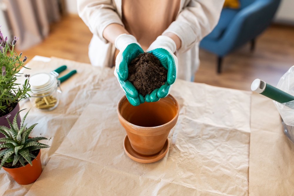 people, gardening and housework concept - close up of woman in gloves pouring soil to flower pot at home. close up of woman planting pot flowers at home