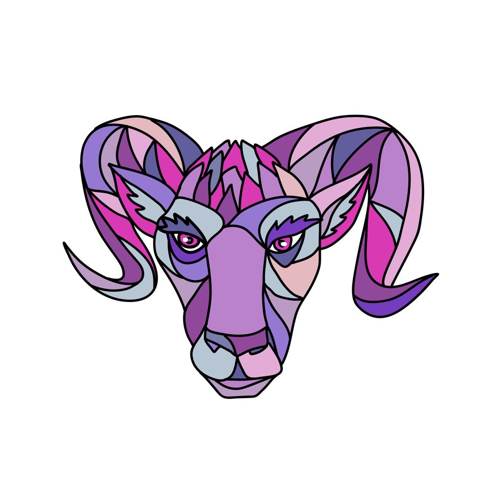 Mosaic low polygon style illustration of a head of a bighorn sheep ram viewed from front on isolated white background in color.. Bighorn Sheep Ram Mosaic Color