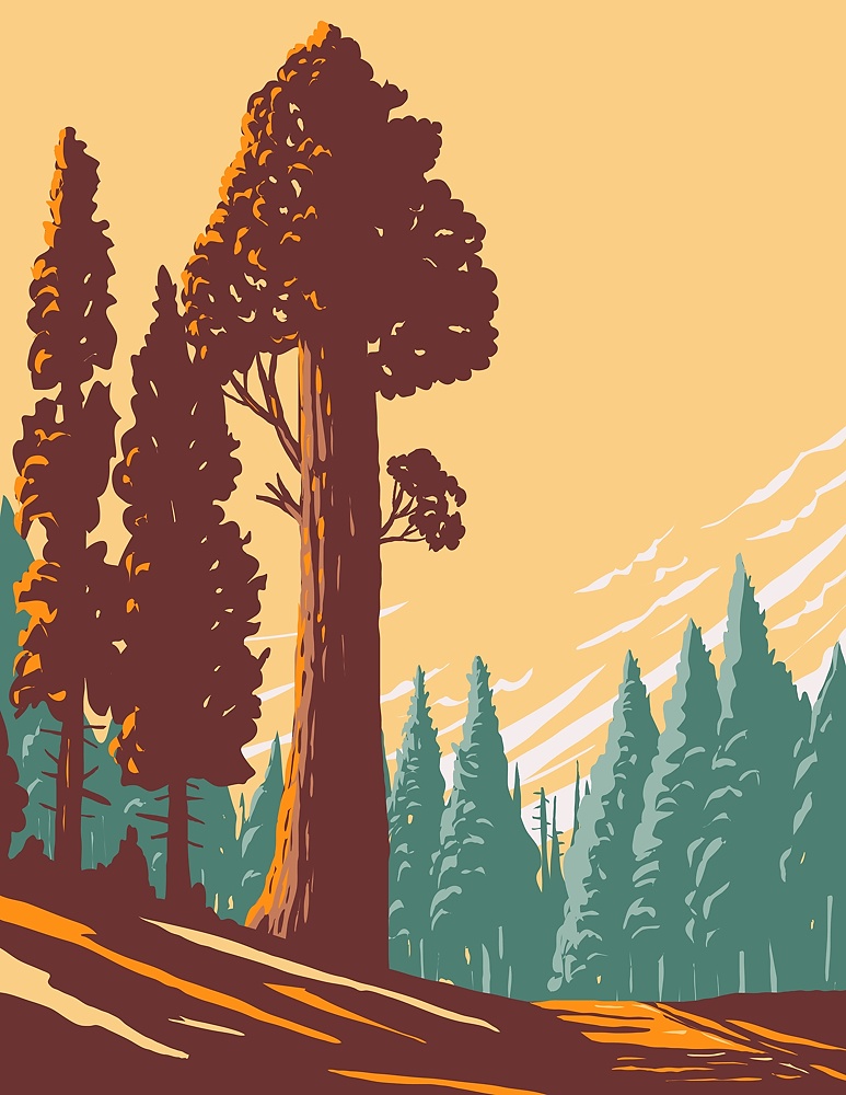 WPA poster art of the General Grant tree trail with the largest giant sequoia in the General Grant Grove section of Kings Canyon National Park in California done in works project administration style.. General Grant Tree Trail with the Largest Giant Sequoia in the General Grant Grove Section of Kings Canyon National Park in California WPA Poster Art