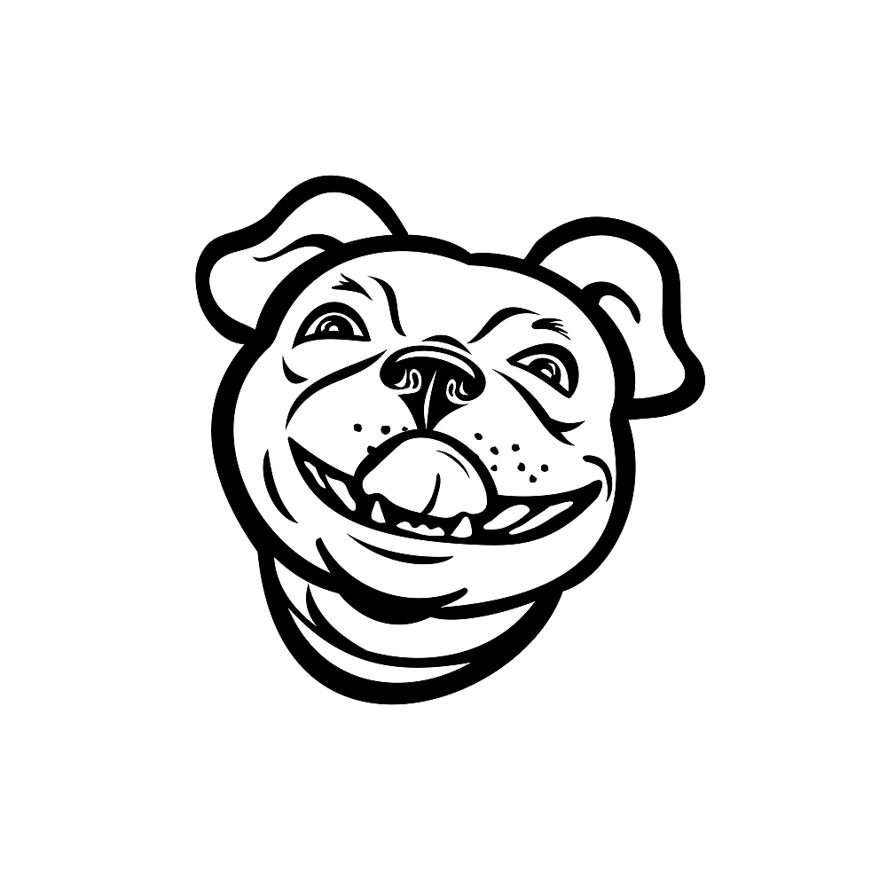Mascot illustration of head of a Boston terrier breed of dog smiling and licking his nose viewed from front on isolated background in retro black and white style.. Head of Boston Terrier Breed of Dog Smiling and Licking His Nose Mascot Retro Style