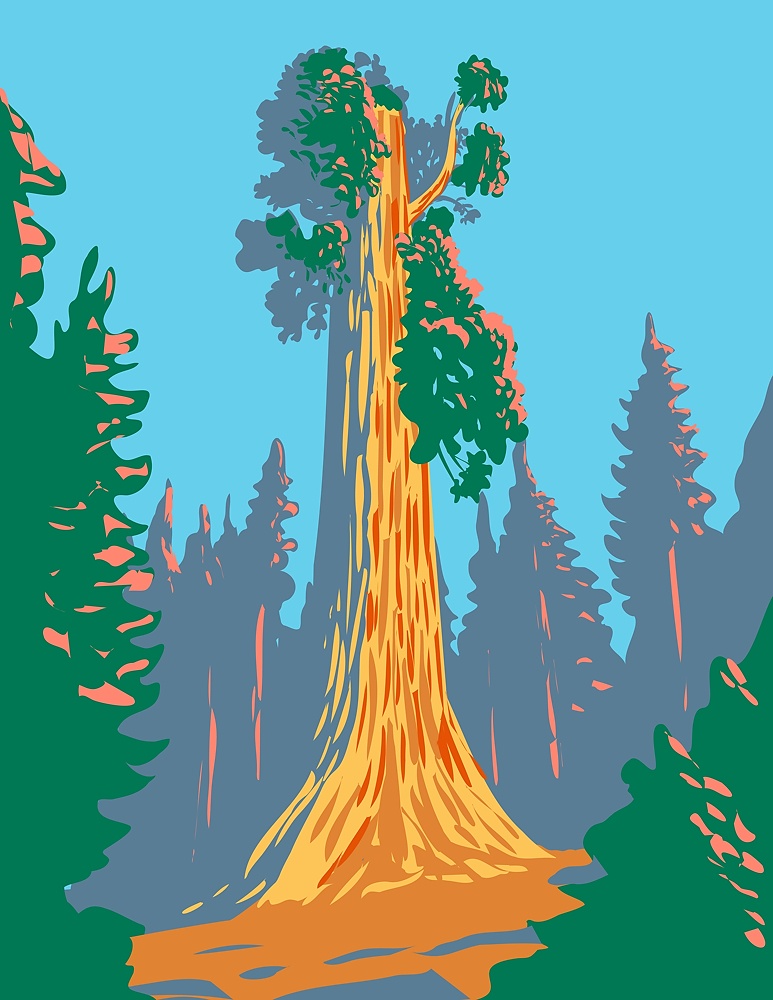 WPA poster art of the General Grant tree, a giant sequoia in the General Grant Grove section of Kings Canyon National Park in California, United States done in works project administration style.. The General Grant Tree a Giant Sequoia in the General Grant Grove Section of Kings Canyon National Park in California WPA Poster Art