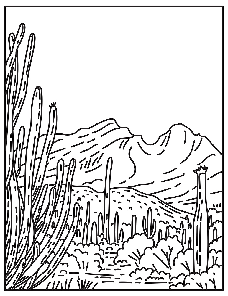Mono line illustration of Organ Pipe Cactus National Monument in the Sonoran Desert located in extreme southern Arizona, United States done in retro black and white monoline line art style.. Organ Pipe Cactus National Monument in the Sonoran Desert located in extreme southern Arizona United States Mono Line or Monoline Black and White Line Art
